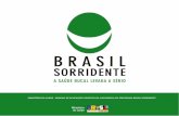 manual brasil sorridente3 - bvsms.saude.gov.brbvsms.saude.gov.br/bvs/publicacoes/manual_brasil_sorridente4.pdf · módulo principal X constitui a bxe do grid - Brasii, Um Pak de Todos..