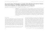 A molecular phylogeny of the Old World stingless bees ... · A molecular phylogeny of the Old World stingless bees (Hymenoptera: Apidae: Meliponini) and the ... use of names, except