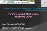 Dott. Giovanni CARBOGNIN - Sacro Cuoreweb2.sacrocuore.it/oncologia/Negrar_16_novembre_2016/Carbognin.pdf · Dott. Giovanni CARBOGNIN Dipartimento di Radiologia Diagnostica Ospedale