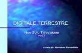 DIGITALE TERRESTRE - .TV digitale SAT e DTT TV digitale via satellite TV digitale via terrestre Standard