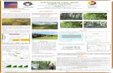 APPLICATION OF A MINI - MODEL FOREST RECOVERY · APPLICATION OF A MINI - MODEL FOREST RECOVERY School of Food Engineering, State University of Campinas UNICAMP- FEA Laboratory of