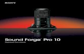 Sound Forge Pro 10 - Canford · Maximize the Sound Forge application window Show/hide windows docked at the bottom of the workspace Show/hide windows docked at the sides of the workspace