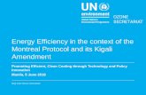 Energy Efficiency in the context of the Montreal Protocol ... · • Requested TEAP to review energy efficiency opportunities in the refrigeration and air-conditioning (RAC) sectors