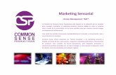Marketing Sensorial - Dyane.net. mk sensorial common sense.pdf · Common Sense ofrece soluciones de holistic branding o de marketing sens orial a medida, de forma ad hoc: para eventos,
