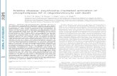 Krabbe disease: psychosine-mediated activation of ... · Krabbe disease: psychosine-mediated activation of ... Medical University of South Carolina, ... 1478 Journal of Lipid Research