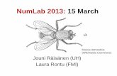 NumLab 2013: 15 March - helsinki.fijaraisan/numlab2013/slides/numlab2013_1503.pdf · NumLab 2013: 15 March Jouni Räisänen (UH) Laura Rontu (FMI) -a Musca domestica (Wikimedia Commons)