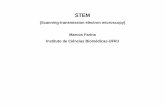 (Scanning-transmission electron microscopy) Marcos Farina Instituto de ...emecbpf/STEM_Farina.pdf · Varrer um feixe de elétrons finamente focalizado através de uma amostra fina