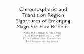 Chromospheric and Transition Region Signatures of Emerging ...folk.uio.no/viggoh/download/eric/Hinode9_2015.pdf · Chromospheric and Transition Region Signatures of Emerging Magnetic