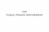 PPP PUBLIC PRIVATE PARTNERSHIP - IRAS Times · Characteristics –Public authority •Can enter into long term PPP contracts •will have only one contract with private party •Risk