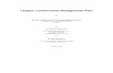 Chagos Conservation Management Plan - Zianet · This Chagos Conservation Management Plan (CCMP) takes a fresh look at the conservation of the biodiver-sity and natural resources of