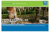 COURO VEGETAL DA AMAZÔNIA - Equator Initiative · Equator Initiative Case Studies Local sustainable development solutions for people, nature, and resilient communities Brazil COURO