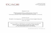 Public Company Accounting Oversight Board - PCAOB · PCAOB Release No. 104-2016-127 Inspection of Ernst & Young Auditores Independentes S.S. June 16, 2016 Page 2 PROFILE OF THE FIRM1