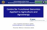 Centre for Functional Genomics Applied to Agriculture and ... · Flavio Meirelles - FZEA-USP Heloisa ... Sep-13 Ligia Macedo UNICAMP Proteômica ... Sep-13 Mônica Labate ESALQ Metabolomica