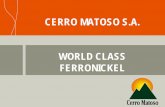 CERRO MATOSO S.A. WORLD CLASS …mric.jogmec.go.jp/kouenkai_index/2005/CerroMatosoSA.pdfWho we are •Cerro Matoso S.A. is currently one of the largest Ferro Nickel producers in the
