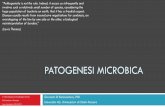 PATOGENESI MICROBICA - ch.unich.it MEDICINA... · La flora microbica residente mantiene la normale ... Il microrganismo deve essere isolato in coltura pura dal soggetto malato, ma