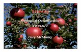 Geological Oceanography OCN 622 Gary McMurtry - SOEST · OCN 622 Gary McMurtry Gravity. The Gravimeter Lacoste & Romberg G-28 Gravimeter (and why should we care?) ... saîuet13 îuunsvatu