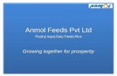 Anmol Feeds Pvt Ltd - Franchise India · About Us.. Anmol Feeds Private Limited (An ISO 9001:2008 company), founded and managed by Mr Amit Kr Saraogi is recognized as the first recipient
