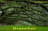 Branches, Volume 4, Issue 9 - September Newsletterc1533f83ab388a22310e-3d4e8f81b57c1767bd539d42d66165a4.r28.cf2.rackcdn.com/... · By His Grace and For His Glory, ... Nuestra iglesia