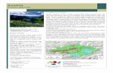 Austria Grosses Walsertal - unesco.org · Austria Grosses Walsertal Declaration date: ... nies have committed themselves to na- ... only topic here: ...