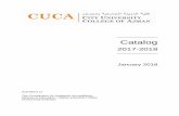 Catalog - cuca.ae · • Student Performance: CGPA of 3.0 on a 4.0-Point Scale • 80% Average Performance of Student Interns • 80% Average Quality of Student Capstone Projects