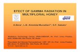 EFECT OF GAMMA RADIATION IN MULTIFLORAL HONEY · EFECT OF GAMMA RADIATION IN MULTIFLORAL HONEY A.Bera1, L.B. Almeida-Muradian2*, S.F. Sabato1 1Radiation Technology Center, IPEN-CNEN/SP,