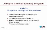 Nitrogen Removal - Module 1 - dec.ny.gov · Module 1 Transparency 8 Ammonification and Assimilation Ammonification - Conversion of organic nitrogen to ammonia-nitrogen resulting from