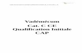 Vadémécum Cat. C/CE - Qualification initiale - CAP cat C... · Vade-mecum épreuve pratique qualification