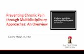 Preventing Chronic Pain through Multidisciplinary ...· Preventing Chronic Pain through Multidisciplinary