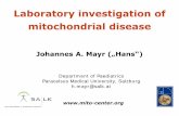 Laboratory investigation of mitochondrial disease · 2014-04-21 · Laboratory investigation of mitochondrial disease . Johannes A. Mayr („Hans“) Department of Paediatrics Paracelsus