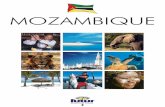 MOZAMBIQUE - about SONÇA international · Mozambique's 2,500 km of white, palm-fringed beaches - and the islands of the Bazaruto Archipelago in particular – have long been the