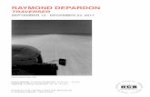 RAYMOND DEPARDON - Fondation Henri Cartier-Bresson · It’s not easy to produce a book and an exhibition of Raymond Depardon’s pictures which take in the full breadth of his work.