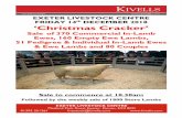 of 370 Commercial In-Lamb Ewes, 160 Empty Ewe Lambs, 51 ... · Order of Sale We will start with the Commercial in-lamb ewes at 10.30am, sold in their pens, followed by Ewe Lambs,