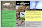 SICILY - Island Venturesislandventures.co.uk/wp-content/uploads/2018/01/7-Sicily.pdf · Sicily, the largest island in the Mediterranean, ... Naturale Saline di Priole attracting Greater