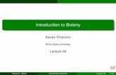 Introduction to Botany - A. Shipunov · Shipunov (MSU) Introduction to Botany Lecture 261/51. Outline 1 Questions and answers Quiz 2 Root Root morphology Anatomy and development of