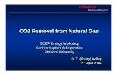 CO2 Removal from Natural Gas - Stanford Universitygcep.stanford.edu/pdfs/energy_workshops_04_04/carbon_kelley.pdf · 29-Apr-04 GCEP Energy Workshop -- Carbon Capture 2 Gas Treating