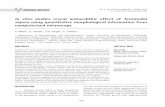 In vitro studies reveal antiurolithic effect of Terminalia ... · ORIGINAL ARTICLE 935 In vitro studies reveal antiurolithic effect of Terminalia arjuna using quantitative morphological