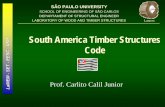 USP South America Timber Structures EESC Code of ppt timber... · lamem -set -eesc -usp sÃo paulo university school of engineering of sÃo carlos departament of structural engineer.