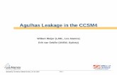 Agulhas Leakage in the CCSM4 - CESM · • Heat and salt injection through Agulhas Leakage — Strengthens MOC — Stabilizes MOC Biastoch et al. (2008) • High-resolution model