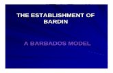 THE ESTABLISHMENT OF BARDIN A BARBADOS MODEL 2 Presentations/Barbados... · The overall aim of BARDIN is to strengthen the capacity of all organisations in Barbados involved in drug
