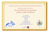 ip atm 0203 - University of Surreyinfo.ee.surrey.ac.uk/Teaching/Courses/eem.din/ip_atm_slides_0203.pdf · IP and ATM Internetworking (CIPA, LANE & MPLS) Features of LAN Emulation