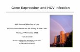 Gene Expression and HCV Infection - AISF · Gene Expression and HCV Infection. Progress in HCV Treatment ... (9 NR, 20 SVR) Construction Signature ... 07 ASSELAH-ITALY.ppt