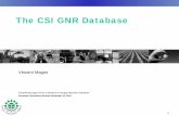 The CSI GNR Database - VDI Verein Deutscher Ingenieure ... · The CSI GNR Database . 2. ... CSI Future review (2010) Water Co-processing ... • GNR status • Next steps. 9 CSI Protocol: