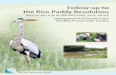 Follow-up to the Rice Paddy Resolution · Follow-up to the Rice Paddy Resolution ... As the Aichi Biodiversity Targets encompass the content of the Rice Paddy Resolution, ... the