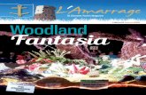 Edition34 Autumn2018 Woodland Fantasia - parish.gov.je - Autumn 2018.pdf · Eddie Caldeira on Monday, July 16. Eddie joined the St Clément Honorary Police in November 2003 as a Constable’s