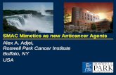 TAT 2011 presentation: SMAC mimetics as new anticancer agents · SMAC Mimetics as new Anticancer Agents Alex A. Adjei, Roswell Park Cancer Institute Buffalo, NY USA