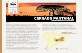 CERRADO PANTANAL - d3nehc6yl9qzo4.cloudfront.net · Considered the largest continental wetland and one of the best preserved biomes of the world, the Pantanal is characterized by