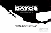 ÍNDICE DE DATOS - economicsandpeace.orgeconomicsandpeace.org/wp-content/uploads/2018/08/Indice-de-Datos... · 2011 y la violencia ha continuado durante el 2018. Con la guerra contra