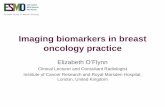 ESMO E-Learning: Imaging biomarkers in breast oncology ... · Imaging biomarkers in breast oncology practice Elizabeth O’Flynn Clinical Lecturer and Consultant Radiologist Institute