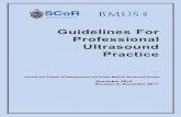 Guidelines For Professional Ultrasound Practice - bmus.org · SCoR/BMUS Guidelines for Professional Ultrasound Practice. Revision 2. December 2017. 1 SOCIETY AND COLLEGE OF RADIOGRAPHERS