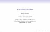 Phylogenetic Geometry - Washington State University · Phylogenetic Geometry Ruth Davidson University of Illinois Urbana-Champaign Department of Mathematics Mathematics and Statistics